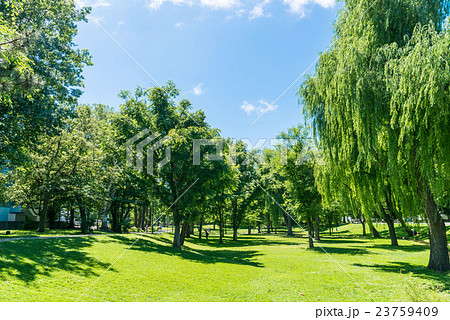 北海道大学　中央ローン 23759409