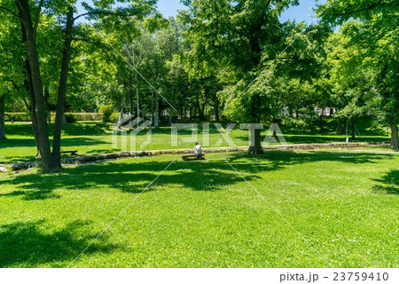 北海道大学 中央ローン 北海道大学 中央ローン 23759410