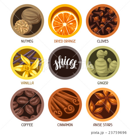 Various stylized spices set. Illustration of anise Various stylized spices set. Illustration of anise 23759696