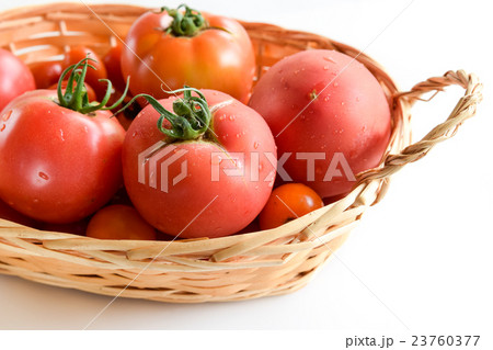 トマト 23760377