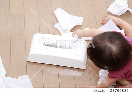 赤ちゃん いたずら ベビー 幼児 女の子 1才 1歳 ティッシュ ちり紙 鼻紙 フローリング 床 の写真素材