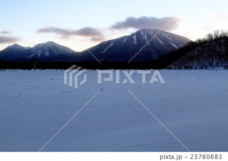 厳冬の奥日光・小田代原の夜明け 厳冬の奥日光・小田代原の夜明け 23760683