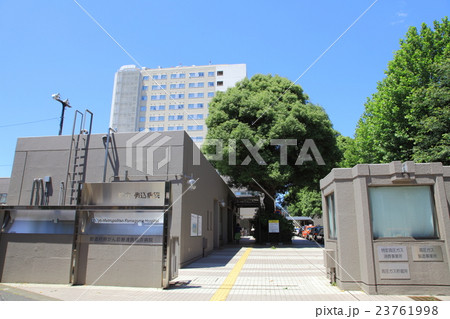 都立駒込病院 都立駒込病院 23761998