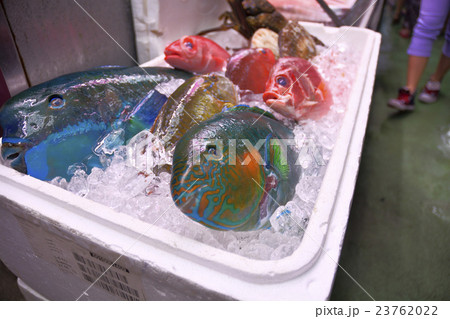 那覇の公設市場の鮮魚 那覇の公設市場の鮮魚 23762022