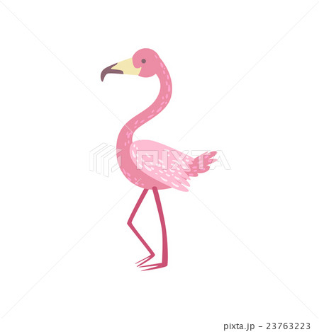 Pink Flamingo Stylized Childish Drawingのイラスト素材 23763223 Pixta