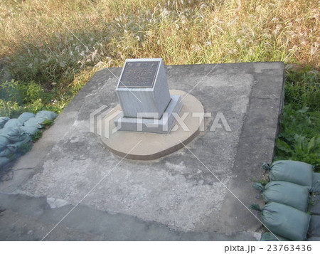 ポプラ事件の切り株 23763436