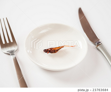 イナゴの佃煮　昆虫食　ナイフ　フォーク　伝統食 23763684