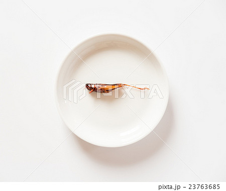 イナゴの佃煮　昆虫食 23763685