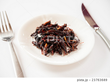 イナゴの佃煮　昆虫食 23763689
