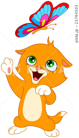 Kitten and butterfly 23764503