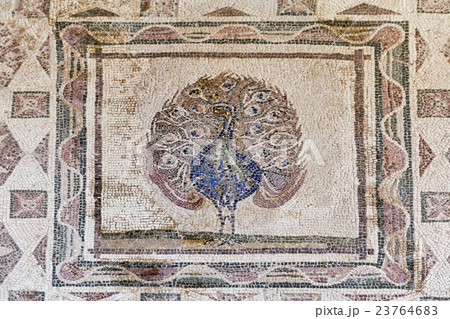 Ancient Greek floor mosaic in archaeologic park Kato Paphos, Cyprus. 23764683