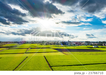 【埼玉県】田園風景と夏の空 23766710
