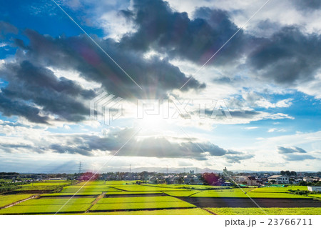 【埼玉県】田園風景と夏の空 23766711