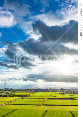 【埼玉県】田園風景と夏の空 23766717