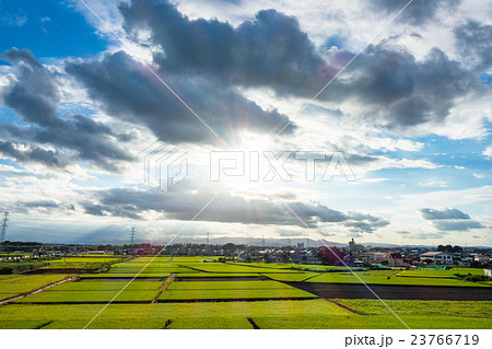 【埼玉県】田園風景と夏の空 23766719