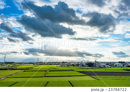 埼玉県 田園風景と夏の空の写真素材