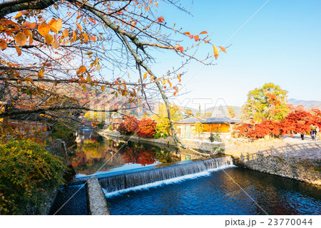 京都嵐山の紅葉 京都嵐山の紅葉 23770044