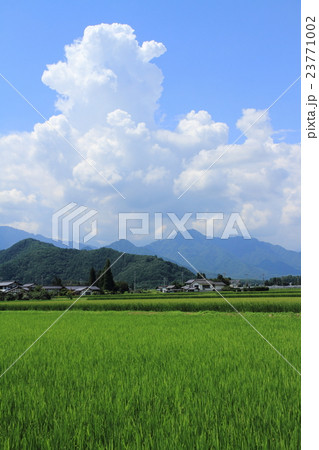 安曇野　青く広がる稲田と夏空 23771002