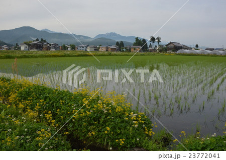新潟の田んぼ　魚沼市 23772041