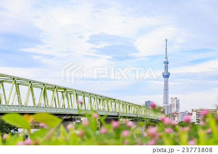 東京スカイツリーと木根川橋 23773808