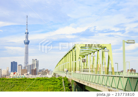 東京スカイツリーと木根川橋 23773810