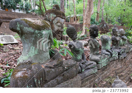 buddha statue in wat umong, chiang mai 23773992