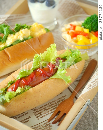 ウィンナーと卵のホットドッグランチ（ハイアングル） 23774180