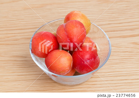 プラム　大石早生 23774656