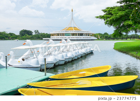 Row boat and swan boat at the dock 23774775