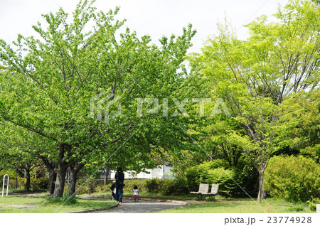 東戸塚品濃町公園 東戸塚品濃町公園 23774928