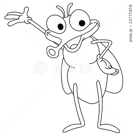 Outlined fly 23775858