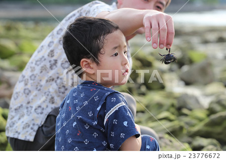 磯遊びを楽しむ親子 23776672