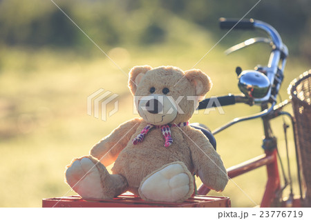 Lovely brown teddy bear in rattan basket on vintage bike in green field with lens flare. Warm toning effect. Retro and vintage style 23776719