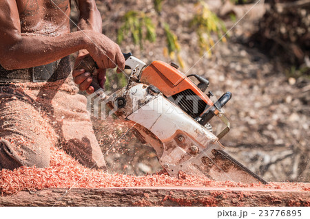 Thai worker cutting trunk with chainsaw 23776895