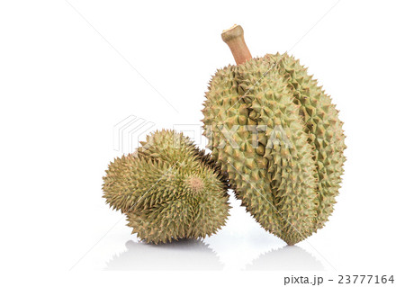 Thai Durian, tropical fruit, isolated on white background Thai Durian, tropical fruit, isolated on white background 23777164