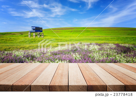 Empty top of wooden table and view of green hill blur background Empty top of wooden table and view of green hill blur background 23778418