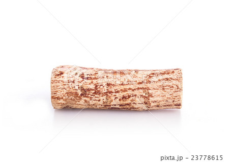 Close up Thanaka wood isolated on white Close up Thanaka wood isolated on white 23778615