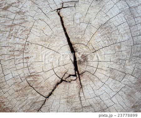 Cracked section of wood texture for background 23778899
