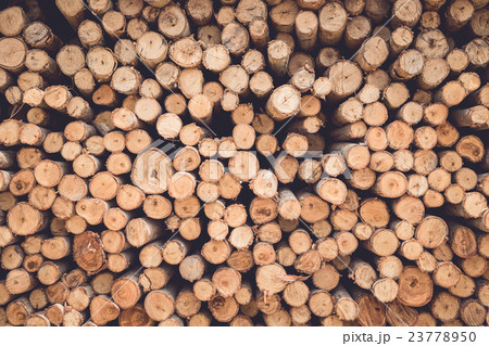 Stacked of wood log for construction buildings background 23778950