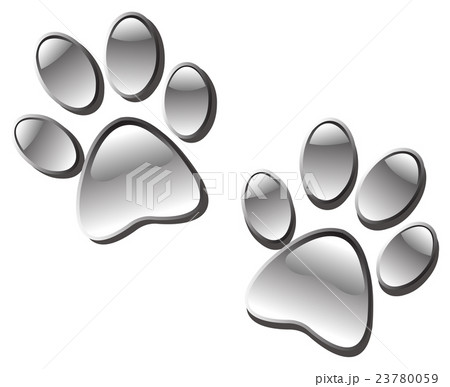 Paw print Paw print 23780059