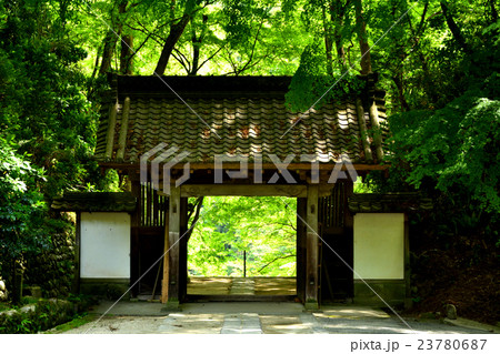 山門と新緑 23780687