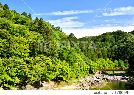 新緑の香嵐渓 23780690