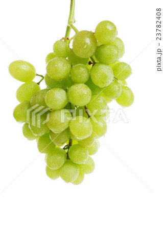 food and drink 23782408