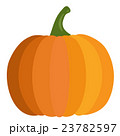 Pumpkin in flat design style isolated on white 23782597
