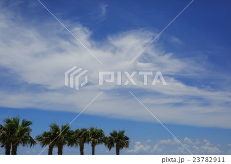 夏空 夏空 23782911