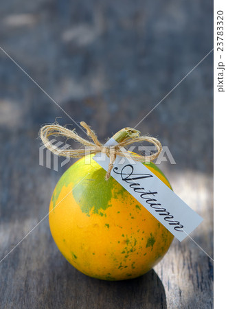 Ripe pumpkin on wooden table 23783320