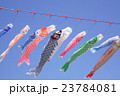鯉のぼり 23784081