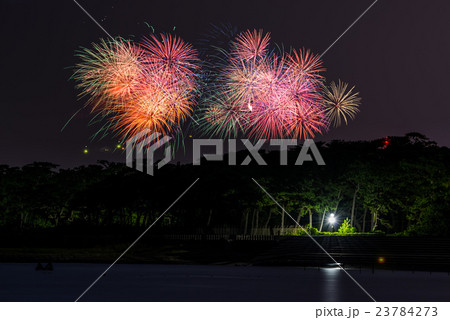 沼津夏まつり・狩野川花火大会 23784273