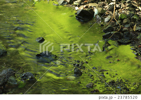 天の岩戸 23785520