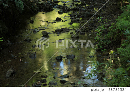 天の岩戸 23785524